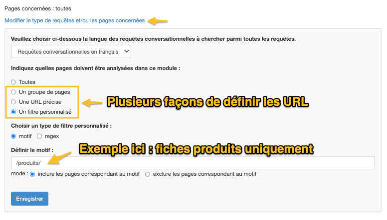 Filtrage des pages pour analyse des requêtes conversationnelles